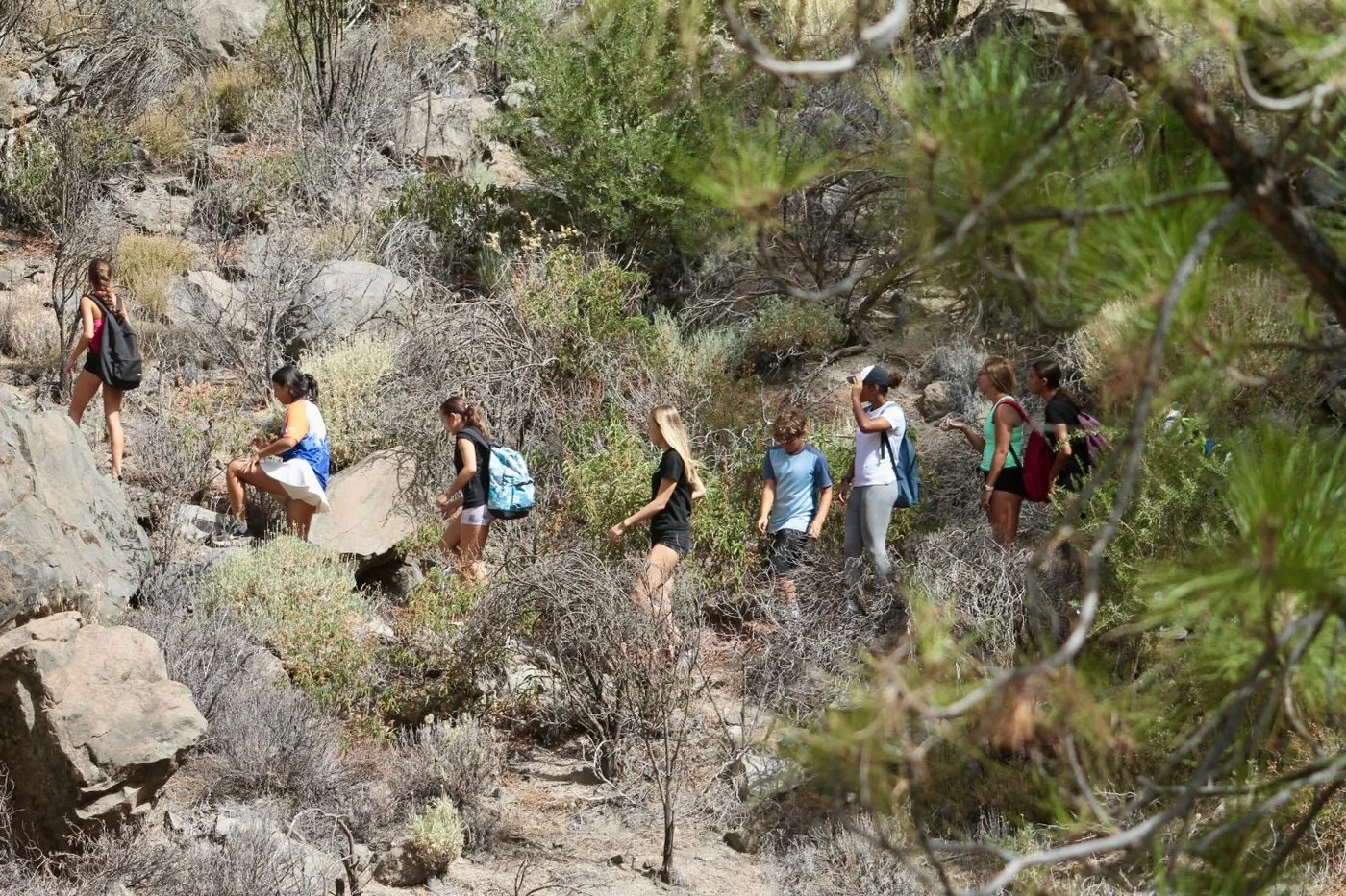 El grupo subiendo en fila por una ladera